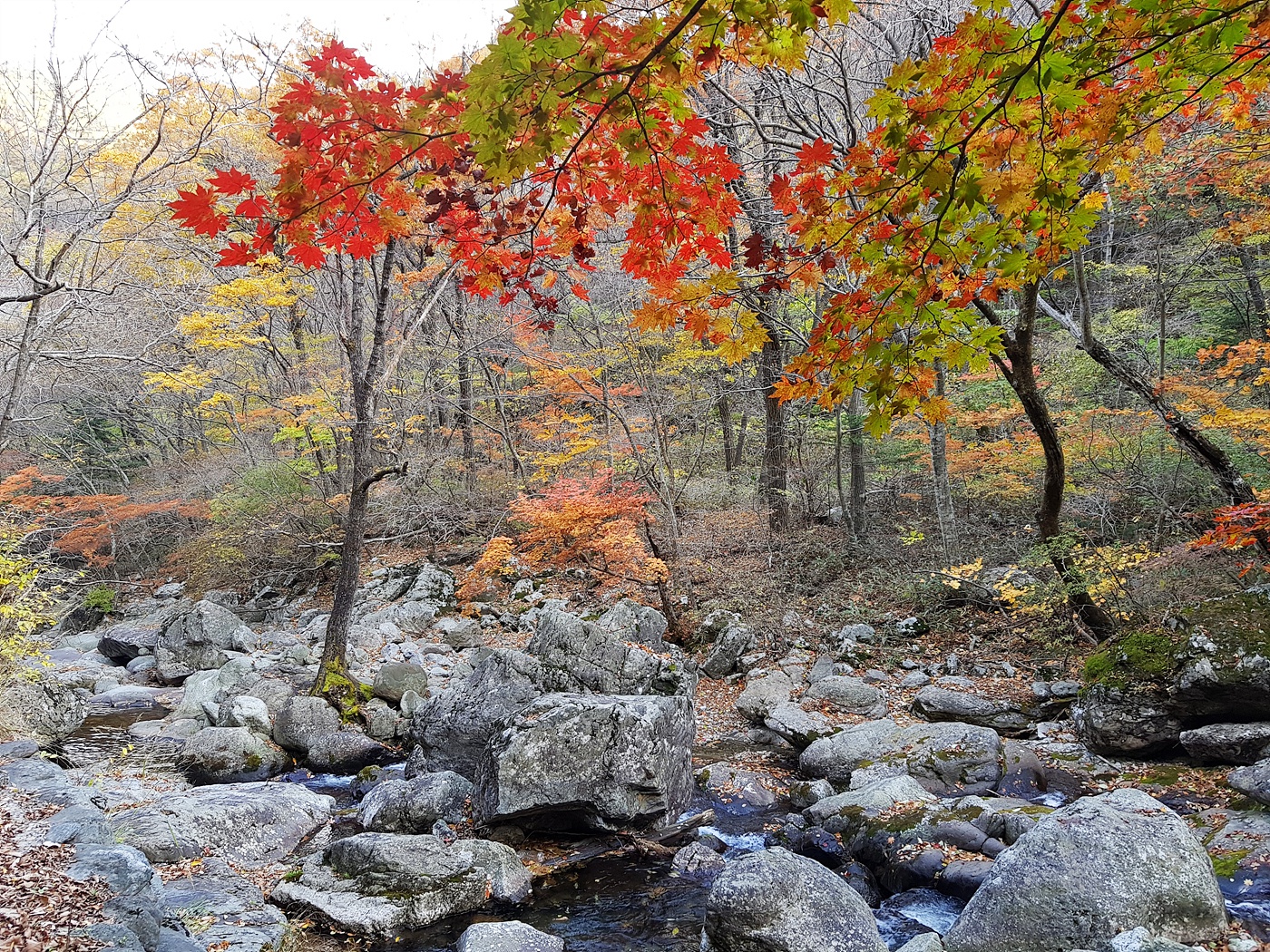 20171024112437_anvmidoi.jpg