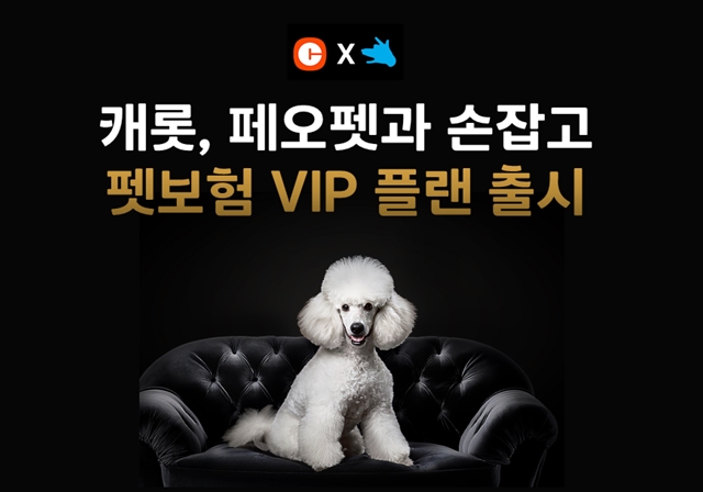 ĳԼغ ݷ  ÷ ''  '꺸 VIP ÷' Ѵ. /ĳԼغ